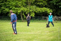 0032Ring Ecouen - IRIS-4131 : 2016, ECOUEN, IRIS, RING, RING 1