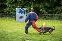 0033Ring Ecouen - IRIS-4132 : 2016, ECOUEN, IRIS, RING, RING 1