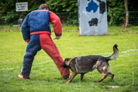 0035Ring Ecouen - IRIS-4134 : 2016, ECOUEN, IRIS, RING, RING 1