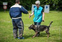 0039Ring Ecouen - IRIS-4139 : 2016, ECOUEN, IRIS, RING, RING 1