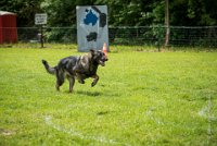0046Ring Ecouen - IRIS-4153 : 2016, ECOUEN, IRIS, RING, RING 1