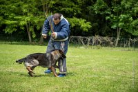 0050Ring Ecouen - IRIS-4158 : 2016, ECOUEN, IRIS, RING, RING 1