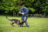 0051Ring Ecouen - IRIS-4160 : 2016, ECOUEN, IRIS, RING, RING 1