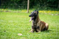 0015Ring Ecouen - ISOS -3914 : 2016, ECOUEN, ISOS, RING, RING 1