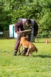 0012Ring Ecouen - JERRY -3572 : 2016, Brevet, CSAU, ECOUEN, JERRY