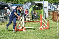 001AGI CLAYE 2017 - KALI -25062017-AGI 6613STANDARD : 2017, 25 JUIN 2017, AGILITY CLAYE SOUILLY 2017, AGILITY STANDARD, CAT.C, D15, KALI