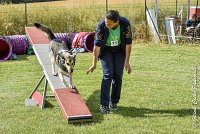 011AGI CLAYE 2017 - KALI -25062017-AGI 6623STANDARD : 2017, 25 JUIN 2017, AGILITY CLAYE SOUILLY 2017, AGILITY STANDARD, CAT.C, D15, KALI