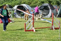 012AGI CLAYE 2017 - KALI -25062017-AGI 6624STANDARD : 2017, 25 JUIN 2017, AGILITY CLAYE SOUILLY 2017, AGILITY STANDARD, CAT.C, D15, KALI