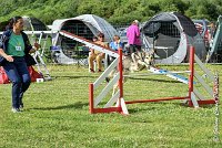 012AGI CLAYE 2017 - KALI -25062017-AGI 6624STANDARD : 2017, 25 JUIN 2017, AGILITY CLAYE SOUILLY 2017, AGILITY STANDARD, CAT.C, D15, KALI