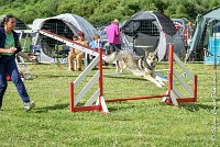 013AGI CLAYE 2017 - KALI -25062017-AGI 6625STANDARD : 2017, 25 JUIN 2017, AGILITY CLAYE SOUILLY 2017, AGILITY STANDARD, CAT.C, D15, KALI