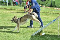 019AGI CLAYE 2017 - KALI -25062017-AGI 6631STANDARD : 2017, 25 JUIN 2017, AGILITY CLAYE SOUILLY 2017, AGILITY STANDARD, CAT.C, D15, KALI