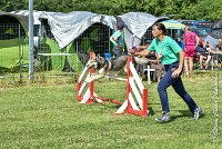 027AGI CLAYE 2017 - KALI -25062017-AGI 7217AGILITY 1 : 2017, 25 JUIN 2017, AGILITY 1, AGILITY CLAYE SOUILLY 2017, CAT.C, D15, KALI