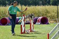 030AGI CLAYE 2017 - KALI -25062017-AGI 7220AGILITY 1 : 2017, 25 JUIN 2017, AGILITY 1, AGILITY CLAYE SOUILLY 2017, CAT.C, D15, KALI