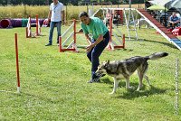 033AGI CLAYE 2017 - KALI -25062017-AGI 7223AGILITY 1 : 2017, 25 JUIN 2017, AGILITY 1, AGILITY CLAYE SOUILLY 2017, CAT.C, D15, KALI