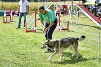 034AGI CLAYE 2017 - KALI -25062017-AGI 7224AGILITY 1 : 2017, 25 JUIN 2017, AGILITY 1, AGILITY CLAYE SOUILLY 2017, CAT.C, D15, KALI