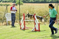 036AGI CLAYE 2017 - KALI -25062017-AGI 7228AGILITY 1 : 2017, 25 JUIN 2017, AGILITY 1, AGILITY CLAYE SOUILLY 2017, CAT.C, D15, KALI