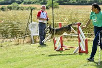 037AGI CLAYE 2017 - KALI -25062017-AGI 7229AGILITY 1 : 2017, 25 JUIN 2017, AGILITY 1, AGILITY CLAYE SOUILLY 2017, CAT.C, D15, KALI