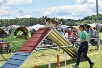 038AGI CLAYE 2017 - KALI -25062017-AGI 7230AGILITY 1 : 2017, 25 JUIN 2017, AGILITY 1, AGILITY CLAYE SOUILLY 2017, CAT.C, D15, KALI