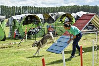 040AGI CLAYE 2017 - KALI -25062017-AGI 7232AGILITY 1 : 2017, 25 JUIN 2017, AGILITY 1, AGILITY CLAYE SOUILLY 2017, CAT.C, D15, KALI