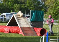 006-AGILITY CHANTILLY - INNAEE -AGI 9321 : 2017, AGILITY CHANTILLY 2017, CAIRN TERRIER, Catégorie A, D11, DIMANCHE 30 AVRIL 2017, EPREUVE OUVERTE, INNAEE
