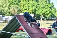 001AGI L ISLE ADAM - LITTLE BLACK THE FAST -17062017-ATE 3805Epreuve ouverte : 17 JUIN 2017, 2017, AGILITY L'ISLE ADAM 2017, CAT.B, D16, EPREUVE OUVERTE, LITTLE-BLACK-THE-FAST