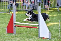 005AGI L ISLE ADAM - LITTLE BLACK THE FAST -17062017-ATE 3813Epreuve ouverte : 17 JUIN 2017, 2017, AGILITY L'ISLE ADAM 2017, CAT.B, D16, EPREUVE OUVERTE, LITTLE-BLACK-THE-FAST