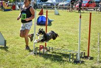 017AGI L ISLE ADAM - LITTLE BLACK THE FAST -17062017-ATE 4539AGILITY 1 : 17 JUIN 2017, 2017, AGILITY 1, AGILITY L'ISLE ADAM 2017, D16, LITTLE-BLACK-THE-FAST