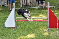 020AGI L ISLE ADAM - LITTLE BLACK THE FAST -17062017-ATE 4543AGILITY 1 : 17 JUIN 2017, 2017, AGILITY 1, AGILITY L'ISLE ADAM 2017, D16, LITTLE-BLACK-THE-FAST