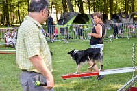 022AGI L ISLE ADAM - LITTLE BLACK THE FAST -17062017-ATE 4547AGILITY 1 : 17 JUIN 2017, 2017, AGILITY 1, AGILITY L'ISLE ADAM 2017, D16, LITTLE-BLACK-THE-FAST