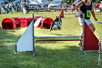 027AGI L ISLE ADAM - LITTLE BLACK THE FAST -17062017-ATE 4552AGILITY 1 : 17 JUIN 2017, 2017, AGILITY 1, AGILITY L'ISLE ADAM 2017, D16, LITTLE-BLACK-THE-FAST