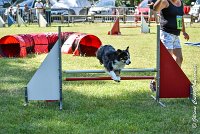 028AGI L ISLE ADAM - LITTLE BLACK THE FAST -17062017-ATE 4553AGILITY 1 : 17 JUIN 2017, 2017, AGILITY 1, AGILITY L'ISLE ADAM 2017, D16, LITTLE-BLACK-THE-FAST