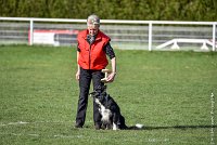 026-EDJAY-12032017-OBEISSANCE CHANTILLY -RAL 9256 : 2017, CC DE CHANTILLY, CLASSE 3, CONCOURS OBEISSANCE, Dimanche 12 Mars 2017, EDJAY DE LA BERGERIE DE MORGANE