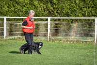 029-EDJAY-12032017-OBEISSANCE CHANTILLY -RAL 9263 : 2017, CC DE CHANTILLY, CLASSE 3, CONCOURS OBEISSANCE, Dimanche 12 Mars 2017, EDJAY DE LA BERGERIE DE MORGANE