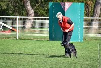 045-EDJAY-12032017-OBEISSANCE CHANTILLY -RAL 9292 : 2017, CC DE CHANTILLY, CLASSE 3, CONCOURS OBEISSANCE, Dimanche 12 Mars 2017, EDJAY DE LA BERGERIE DE MORGANE