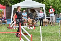 001AGI CLAYE SOUILLY - HIGUAEDA -25062017-AGI 5452MASTER : 2017, 25 JUIN 2017, AGILITY CLAYE SOUILLY 2017, CAT.C, D50, HIGUAEDA, MASTER