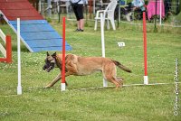 002AGI CLAYE SOUILLY - HIGUAEDA -25062017-AGI 5454MASTER : 2017, 25 JUIN 2017, AGILITY CLAYE SOUILLY 2017, CAT.C, D50, HIGUAEDA, MASTER