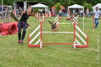 003AGI CLAYE SOUILLY - HIGUAEDA -25062017-AGI 5455MASTER : 2017, 25 JUIN 2017, AGILITY CLAYE SOUILLY 2017, CAT.C, D50, HIGUAEDA, MASTER