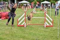 004AGI CLAYE SOUILLY - HIGUAEDA -25062017-AGI 5456MASTER : 2017, 25 JUIN 2017, AGILITY CLAYE SOUILLY 2017, CAT.C, D50, HIGUAEDA, MASTER