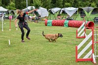 005AGI CLAYE SOUILLY - HIGUAEDA -25062017-AGI 5458MASTER : 2017, 25 JUIN 2017, AGILITY CLAYE SOUILLY 2017, CAT.C, D50, HIGUAEDA, MASTER