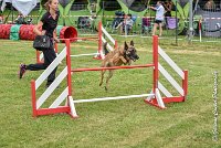 006AGI CLAYE SOUILLY - HIGUAEDA -25062017-AGI 5459MASTER : 2017, 25 JUIN 2017, AGILITY CLAYE SOUILLY 2017, CAT.C, D50, HIGUAEDA, MASTER