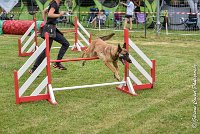 007AGI CLAYE SOUILLY - HIGUAEDA -25062017-AGI 5460MASTER : 2017, 25 JUIN 2017, AGILITY CLAYE SOUILLY 2017, CAT.C, D50, HIGUAEDA, MASTER