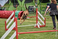 008AGI CLAYE SOUILLY - HIGUAEDA -25062017-AGI 5461MASTER : 2017, 25 JUIN 2017, AGILITY CLAYE SOUILLY 2017, CAT.C, D50, HIGUAEDA, MASTER