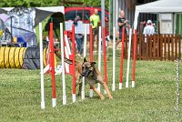 009AGI CLAYE SOUILLY - HIGUAEDA -25062017-AGI 7454AGILITY 3 : 2017, 25 JUIN 2017, AGILITY 3, AGILITY CLAYE SOUILLY 2017, CAT.C, D50, HIGUAEDA