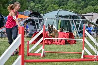 015AGI CLAYE SOUILLY - HIGUAEDA -25062017-AGI 7463AGILITY 3 : 2017, 25 JUIN 2017, AGILITY 3, AGILITY CLAYE SOUILLY 2017, CAT.C, D50, HIGUAEDA