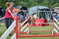 016AGI CLAYE SOUILLY - HIGUAEDA -25062017-AGI 7464AGILITY 3 : 2017, 25 JUIN 2017, AGILITY 3, AGILITY CLAYE SOUILLY 2017, CAT.C, D50, HIGUAEDA