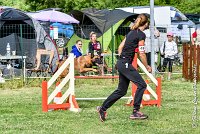 001AGI CLAYE SOUILLY - JAWAK -25062017-AGI 6503STANDARD : 2017, 25 JUIN 2017, AGILITY CLAYE SOUILLY 2017, AGILITY STANDARD, CAT.C, D49, JAWAK