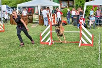 003AGI CLAYE SOUILLY - JAWAK -25062017-AGI 6506STANDARD : 2017, 25 JUIN 2017, AGILITY CLAYE SOUILLY 2017, AGILITY STANDARD, CAT.C, D49, JAWAK