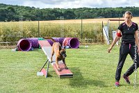 007AGI CLAYE SOUILLY - JAWAK -25062017-AGI 6510STANDARD : 2017, 25 JUIN 2017, AGILITY CLAYE SOUILLY 2017, AGILITY STANDARD, CAT.C, D49, JAWAK