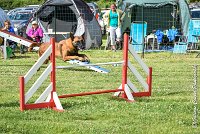 009AGI CLAYE SOUILLY - JAWAK -25062017-AGI 6512STANDARD : 2017, 25 JUIN 2017, AGILITY CLAYE SOUILLY 2017, AGILITY STANDARD, CAT.C, D49, JAWAK