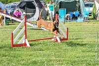 010AGI CLAYE SOUILLY - JAWAK -25062017-AGI 6513STANDARD : 2017, 25 JUIN 2017, AGILITY CLAYE SOUILLY 2017, AGILITY STANDARD, CAT.C, D49, JAWAK